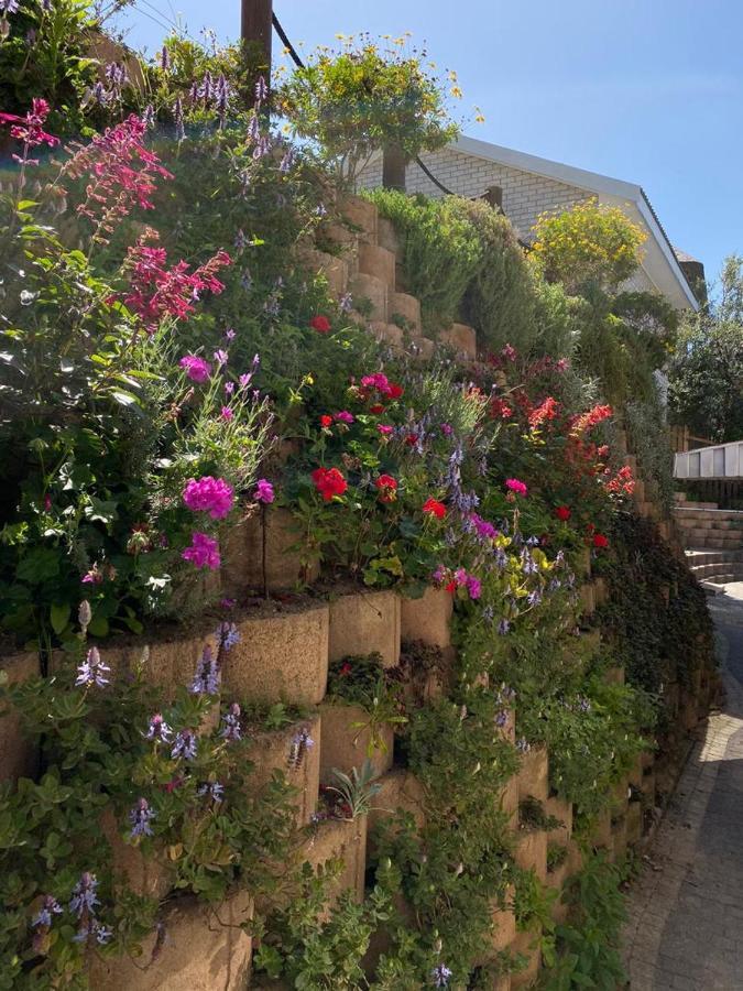 Wilderness Oceanview Villa Exterior foto